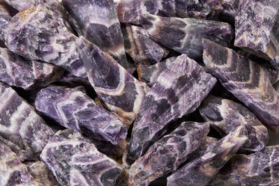 Ametyst zebra Zambie